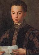Agnolo Bronzino Portrait of Francesco I as a Young Man oil painting